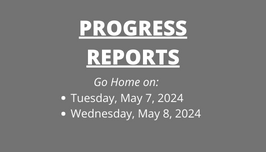  Progress Reports